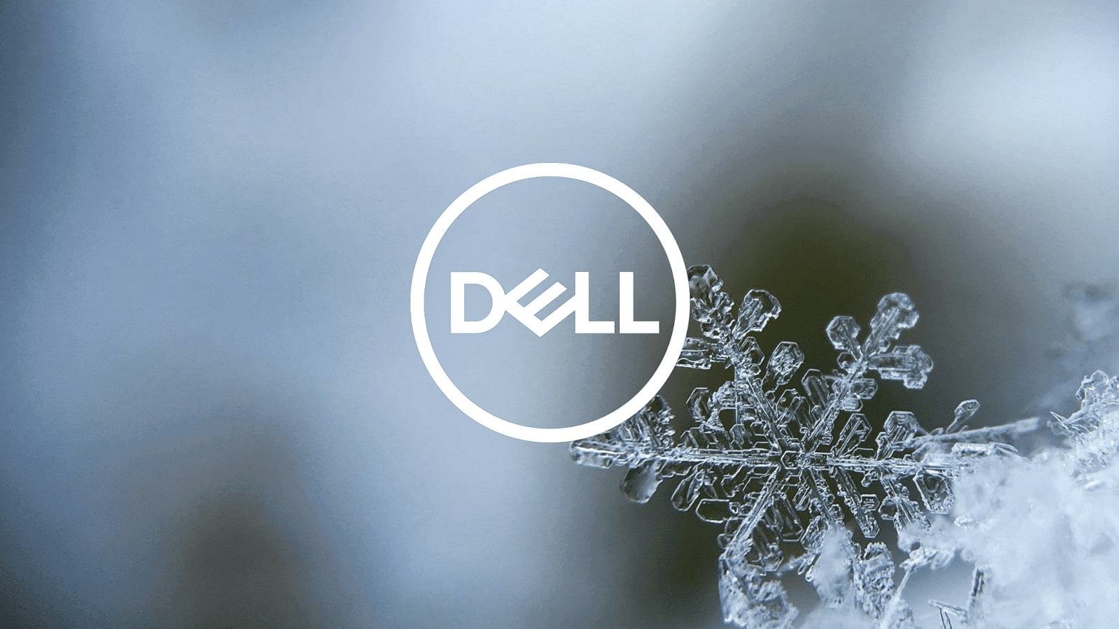 Happy New Dell!