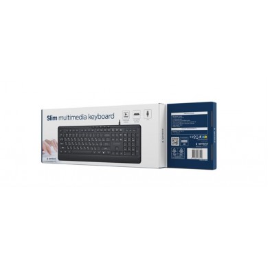 Tastatura Gembird B-MCH-05-CYRL/ USB A+C/ Black