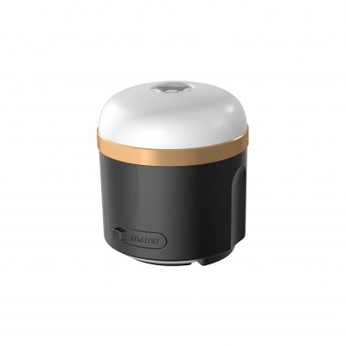 Camping Light and PowerBank EcoFlow 7200mAh