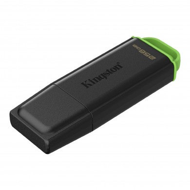 USB Flash Drive Kingston DataTraveler Exodia G2/ 256GB / 100 MByte/s