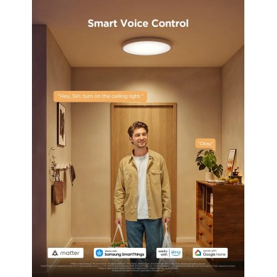 Lampa Smart de tavan GOVEE Round 12” RGBWW + RGBIC Lampa Smart de tavan GOVEE Round 12” RGBWW + RGBIC
