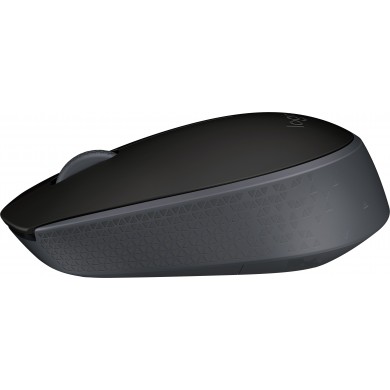 Logitech Wireless Mouse M171 Black, Optical Mouse for Notebooks, Nano receiver,  Black, Retail
