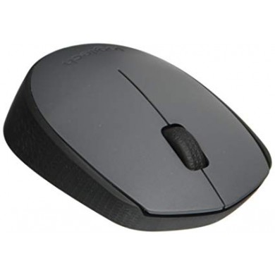 Logitech Wireless Mouse M170 Grey, Optical Mouse for Notebooks, Nano receiver,  Grey, Retail
