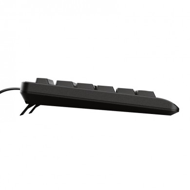 Trust Primo Keyboard, Silent typing, Spill-resistant, RU, USB, 1.8m, Black