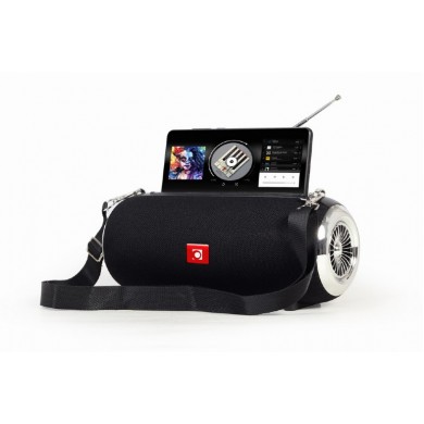 Boxa portabila Gembird SPK-BT-17, Black / 10W / Bluetooth / USB / microSD / 1200 mAh