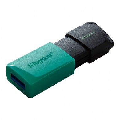 Flash Drive USB Kingston DataTraveler Exodia M / 256GB / 100 MByte/s