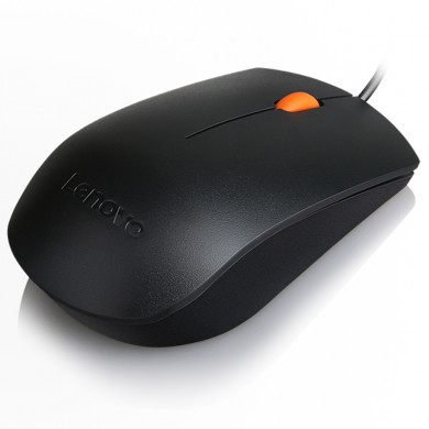 Mouse Lenovo 300/ USB/ 1600dpi/ Optical/ Black