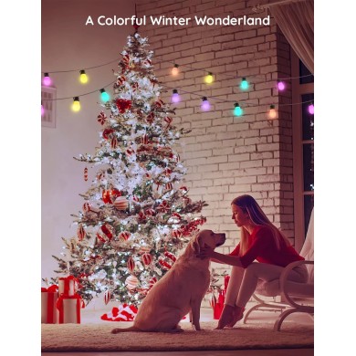 Banda LED de exterior GOVEE RGBIC Smart Outdoor String Lights 15m, 15 Light Bulbs